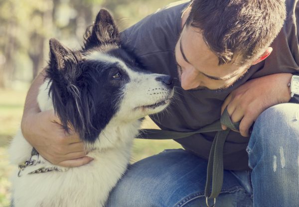 Hundeversicherung