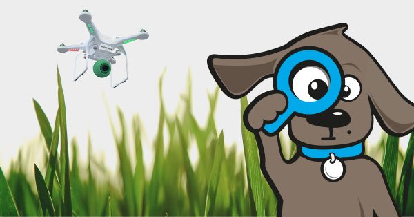 Tinki.de löst mit Dogdrones das Hundekotproblem!