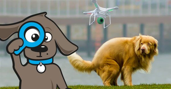 ein-aprilscherz-dogdrones
