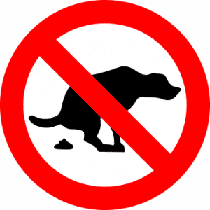 hundekot argernisse