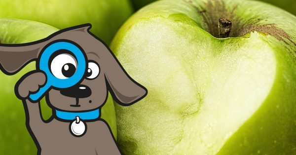 Hunde Äpfel